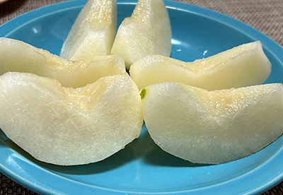 砂,鳥取砂丘,土産,モアイ,砂ねんど,ワークショップ,SDGs