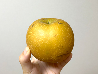 砂,鳥取砂丘,土産,モアイ,砂ねんど,ワークショップ,SDGs