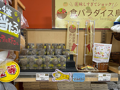 砂,鳥取砂丘,土産,モアイ,砂ねんど,ワークショップ,SDGs