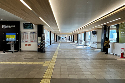 砂,鳥取砂丘,土産,モアイ,砂ねんど,ワークショップ,SDGs