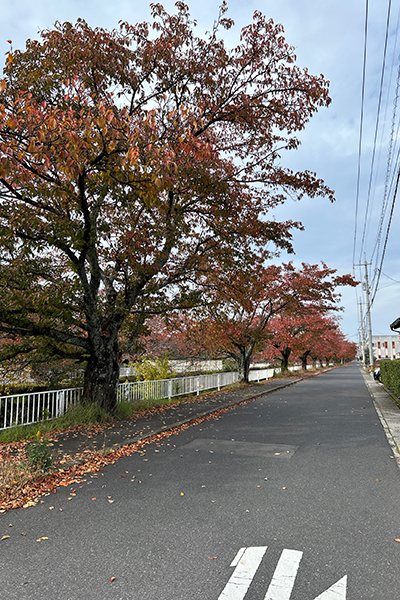 砂,鳥取砂丘,土産,モアイ,砂ねんど,ワークショップ,SDGs