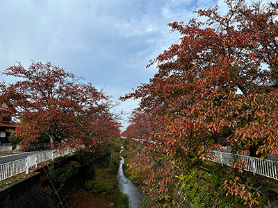 砂,鳥取砂丘,土産,モアイ,砂ねんど,ワークショップ,SDGs