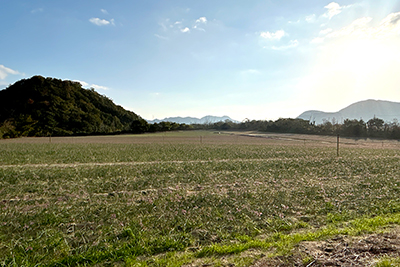 砂,鳥取砂丘,土産,モアイ,砂ねんど,ワークショップ,SDGs