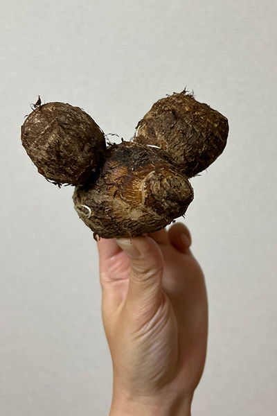 砂,鳥取砂丘,土産,モアイ,砂ねんど,ワークショップ,SDGs