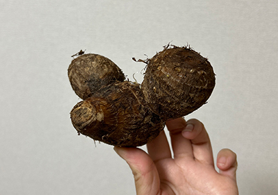 砂,鳥取砂丘,土産,モアイ,砂ねんど,ワークショップ,SDGs