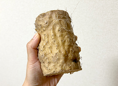 砂,鳥取砂丘,土産,モアイ,砂ねんど,ワークショップ,SDGs