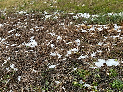 砂,鳥取砂丘,土産,モアイ,砂ねんど,ワークショップ,SDGs