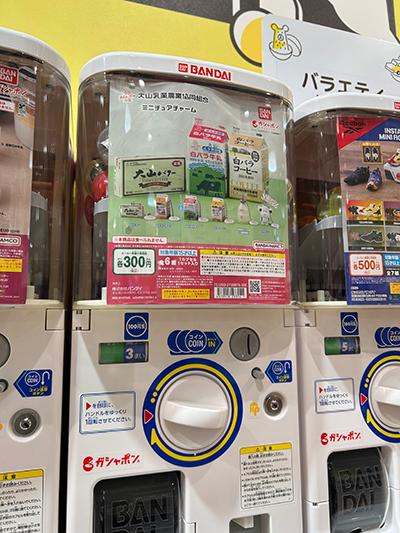 砂,鳥取砂丘,土産,モアイ,砂ねんど,ワークショップ,SDGs