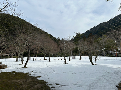 砂,鳥取砂丘,土産,モアイ,砂ねんど,ワークショップ,SDGs