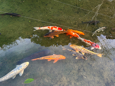 砂,鳥取砂丘,土産,モアイ,砂ねんど,ワークショップ,SDGs