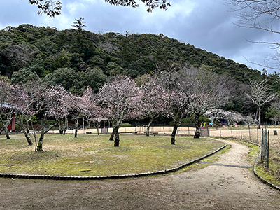 砂,鳥取砂丘,土産,モアイ,砂ねんど,ワークショップ,SDGs