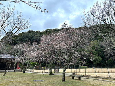 砂,鳥取砂丘,土産,モアイ,砂ねんど,ワークショップ,SDGs