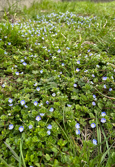 砂,鳥取砂丘,土産,モアイ,砂ねんど,ワークショップ,SDGs