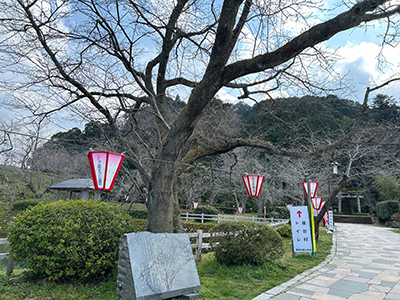 砂,鳥取砂丘,土産,モアイ,砂ねんど,ワークショップ,SDGs