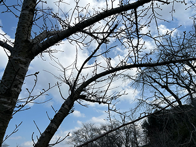 砂,鳥取砂丘,土産,モアイ,砂ねんど,ワークショップ,SDGs