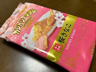 砂,鳥取砂丘,土産,モアイ,砂ねんど,ワークショップ,SDGs