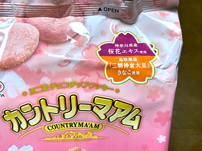 砂,鳥取砂丘,土産,モアイ,砂ねんど,ワークショップ,SDGs