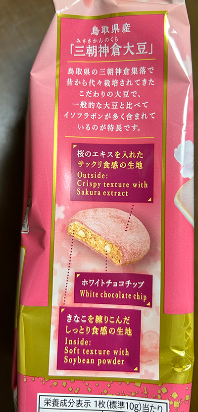  砂,鳥取砂丘,土産,モアイ,砂ねんど,ワークショップ,SDGs