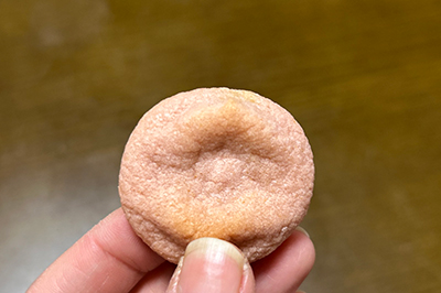  砂,鳥取砂丘,土産,モアイ,砂ねんど,ワークショップ,SDGs