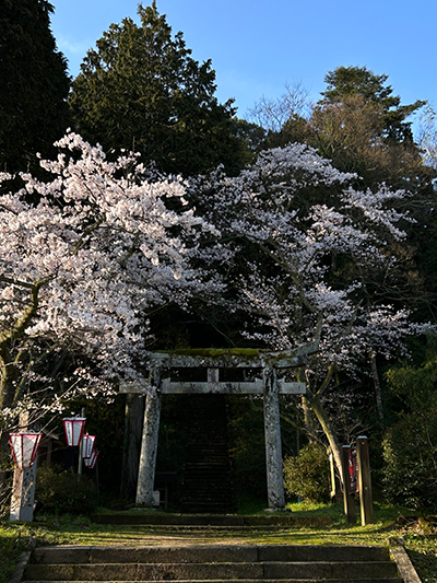 砂,鳥取砂丘,土産,モアイ,砂ねんど,ワークショップ,SDGs