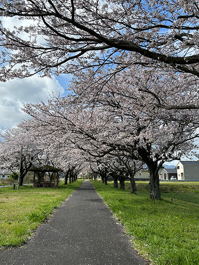 砂,鳥取砂丘,土産,モアイ,砂ねんど,ワークショップ,SDGs