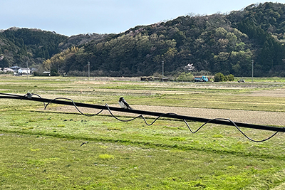 砂,鳥取砂丘,土産,モアイ,砂ねんど,ワークショップ,SDGs