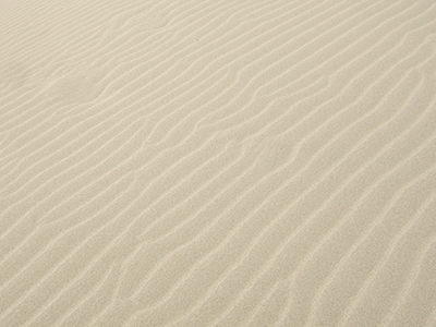 砂,鳥取砂丘,土産,モアイ,砂ねんど,ワークショップ