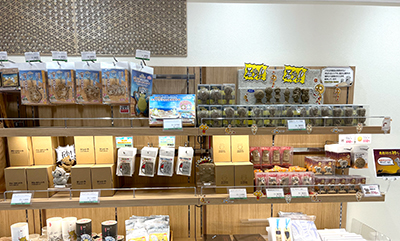 砂,鳥取砂丘,土産,モアイ,砂ねんど,ワークショップ,SDGs