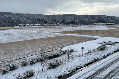 砂,鳥取砂丘,土産,モアイ,砂ねんど,ワークショップ,SDGs