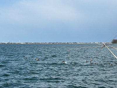 砂,鳥取砂丘,土産,モアイ,砂ねんど,ワークショップ,SDGs