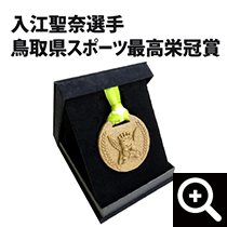 砂のメダル/入江聖奈選手鳥取県スポーツ最高栄冠賞